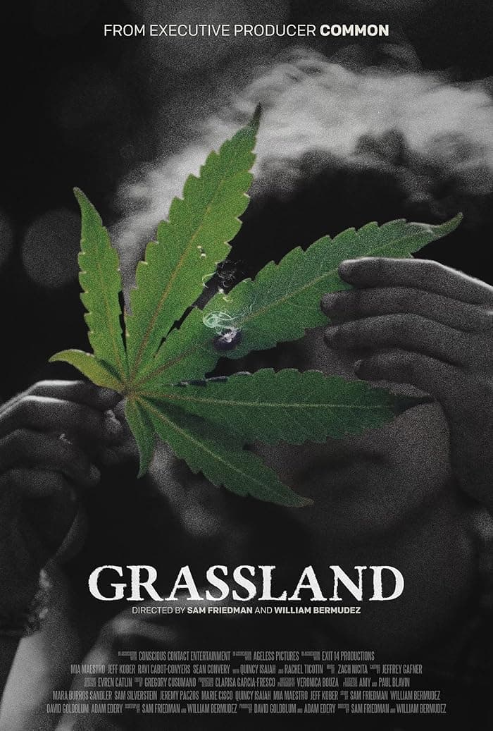 فيلم Grassland 2024 مترجم اون لاين
