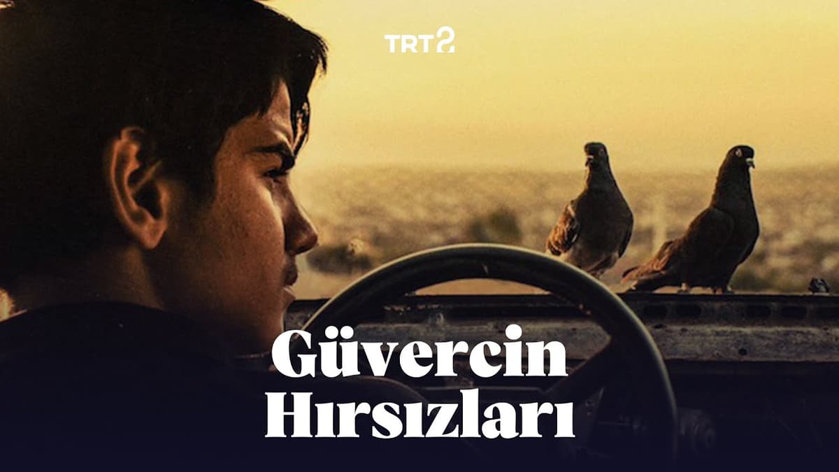 فيلم سارقو الحمام مترجم