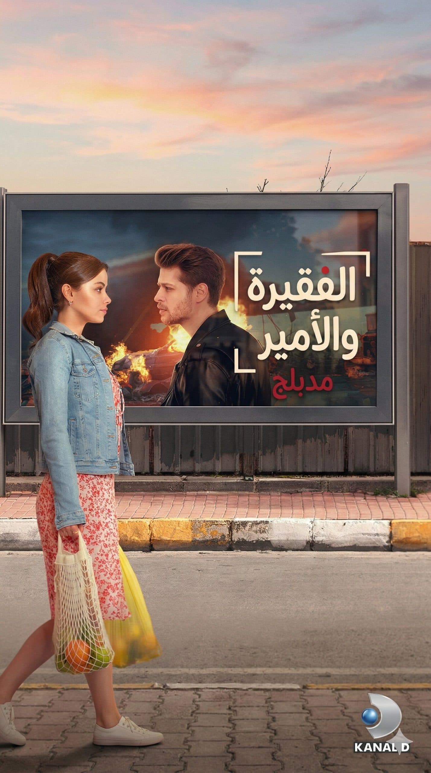 الفقيرة و الامير مدبلج