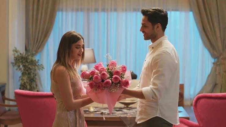 فيلم علم الحب 2018 Ask troloji مترجم